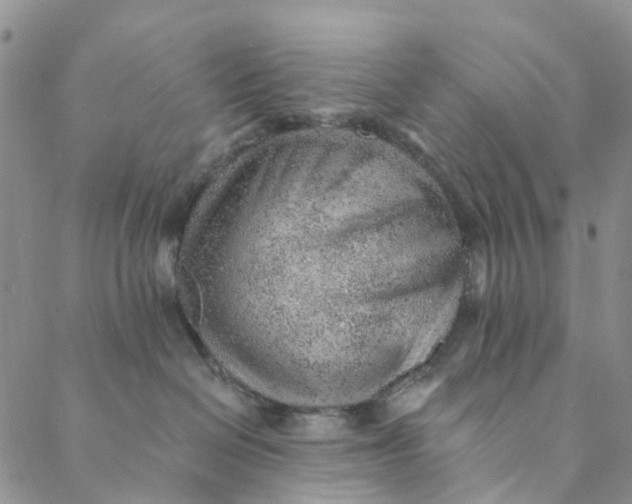 X0000088450286200706121447
