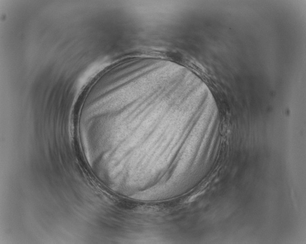 X0000088450294200706121446