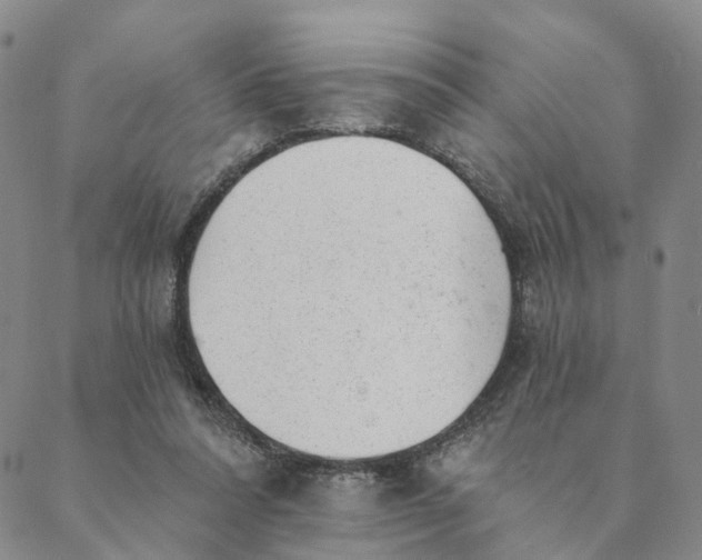 X0000088450304200706121446