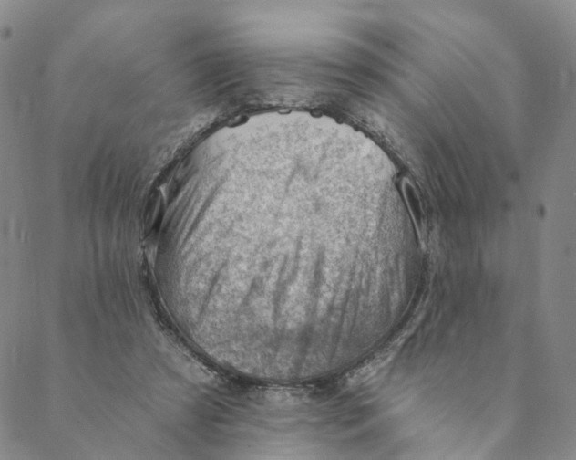 X0000088450305200706121446
