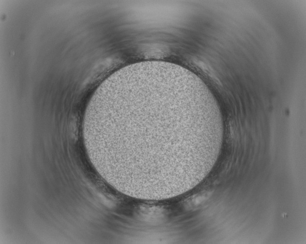 X0000088450311200706121446
