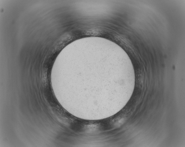 X0000088450312200706121446