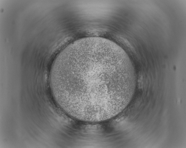 X0000088450314200706121446