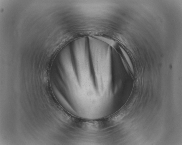 X0000088450317200706121446