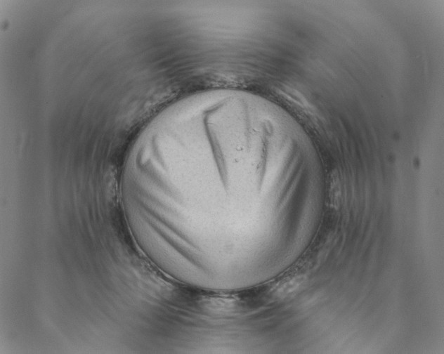 X0000088450318200706121446