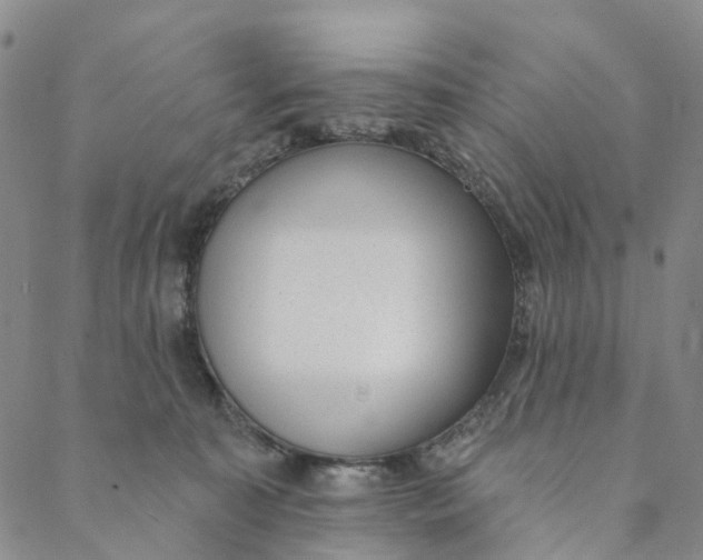 X0000088450323200706121446
