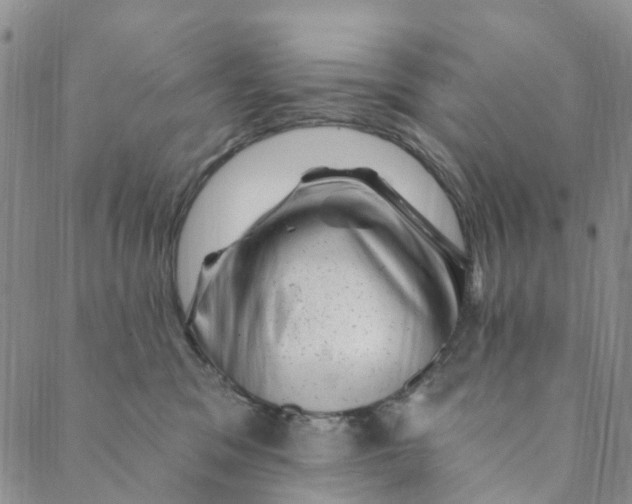 X0000088450329200706121445