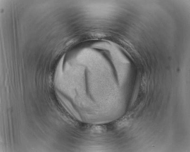 X0000088450330200706121445