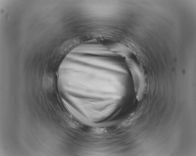 X0000088450333200706121445