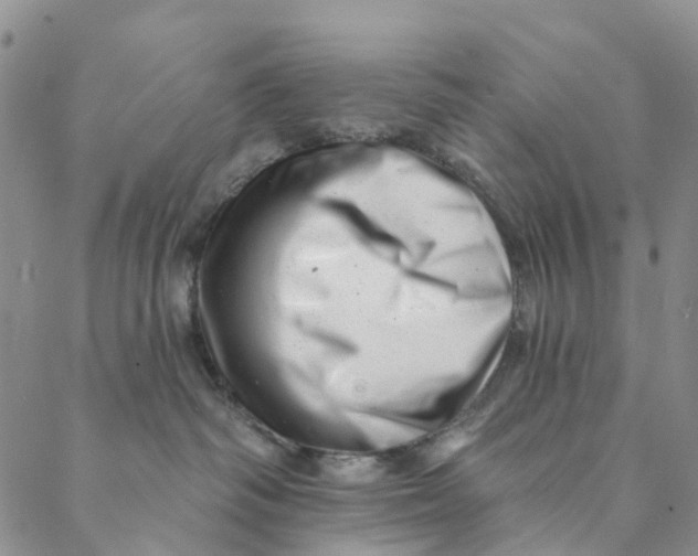 X0000088450334200706121445