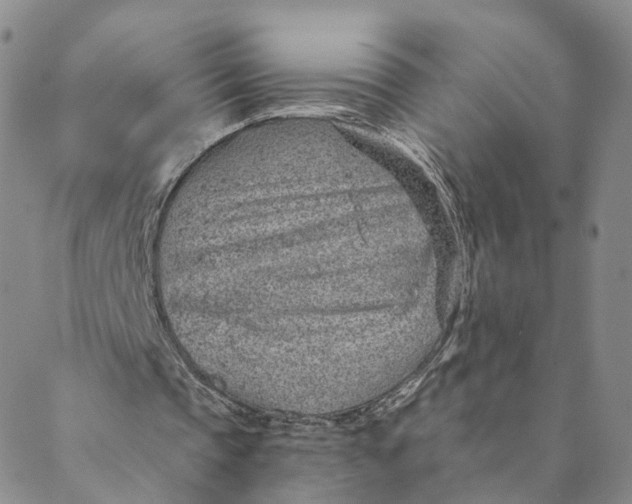 X0000088450337200706121444