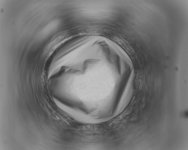 X0000088450338200706121444