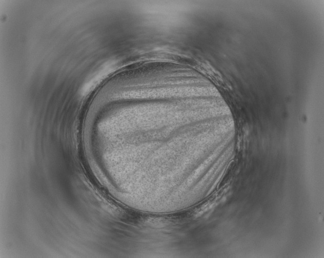 X0000088450341200706121444