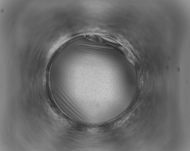 X0000088450344200706121444