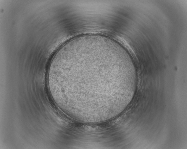 X0000088450346200706121444