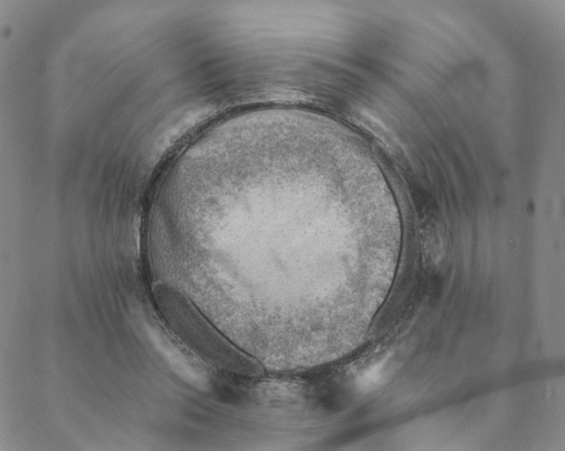 X0000088450350200706121444