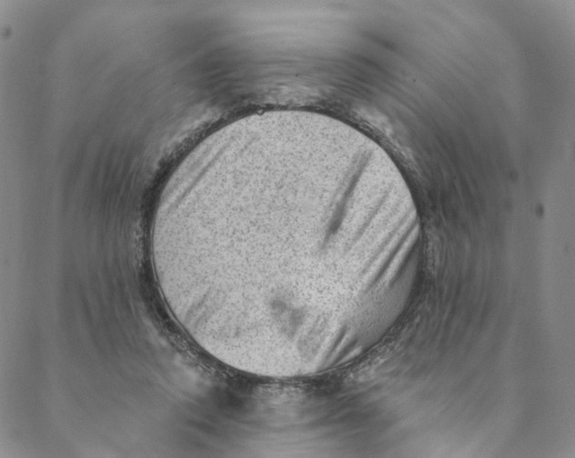 X0000088450354200706121445