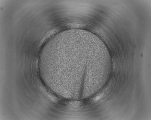 X0000088450357200706121445