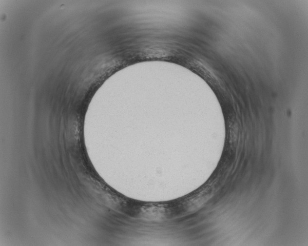X0000088450362200706121445