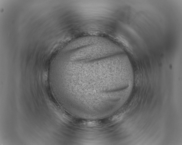 X0000088450365200706121445