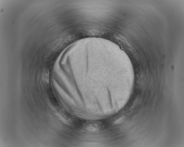 X0000088450368200706121445