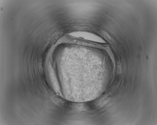 X0000088450377200706121445