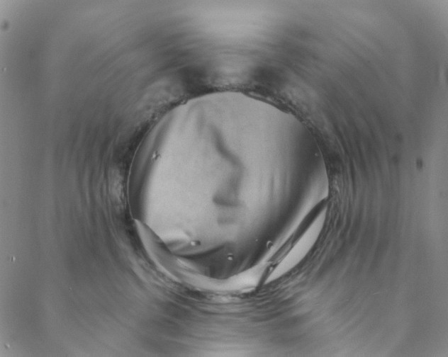 X0000088450380200706121445