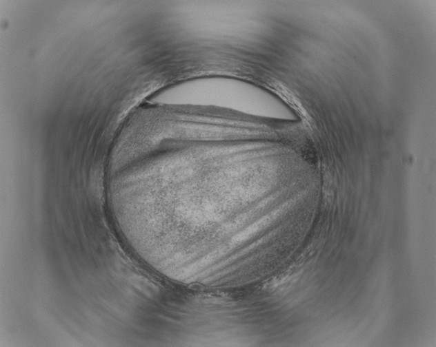 X0000088450386200706121444
