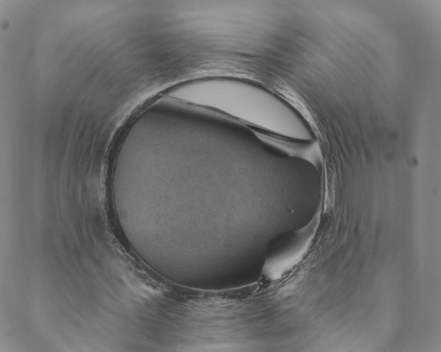 X0000088450387200706121444