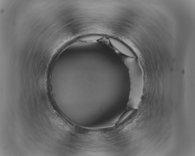 X0000088450391200706121444