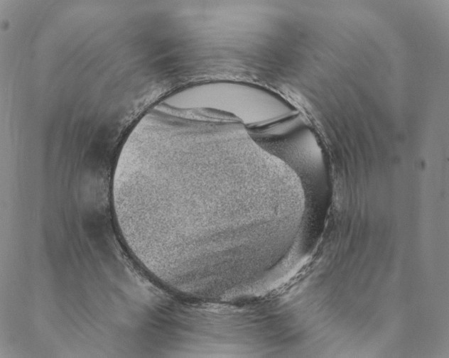 X0000088450393200706121444