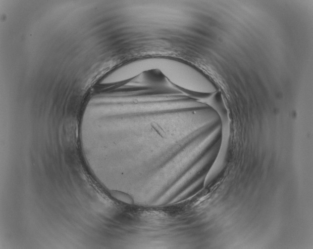 X0000088450397200706121444