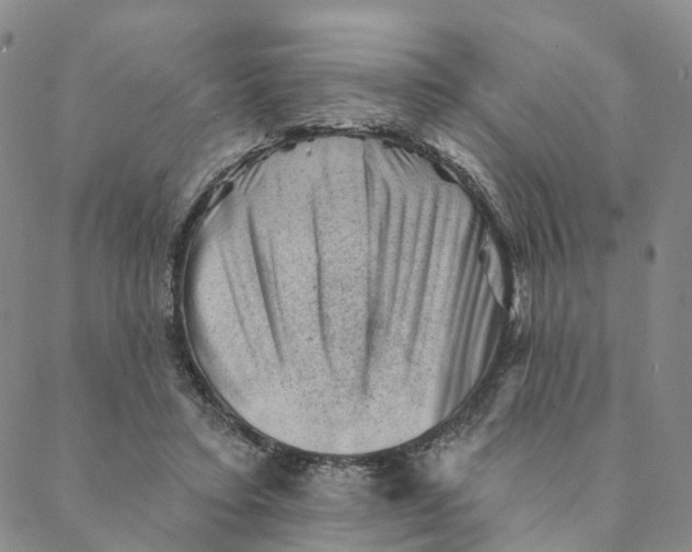 X0000088450403200706121444