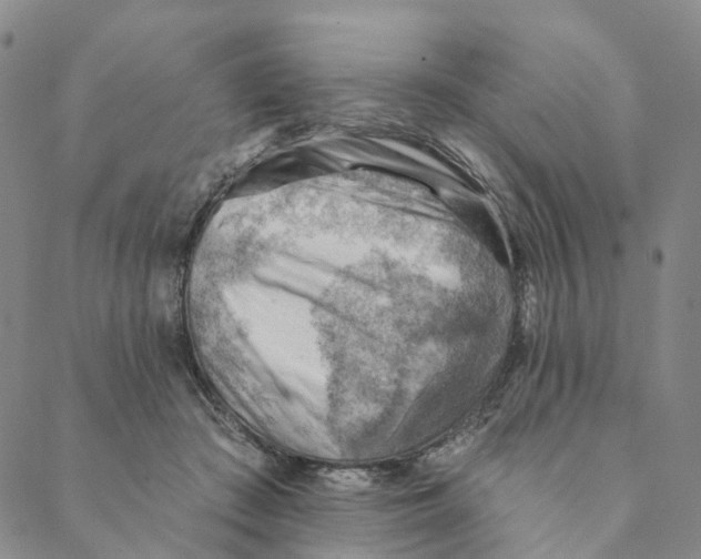 X0000088450409200706121444