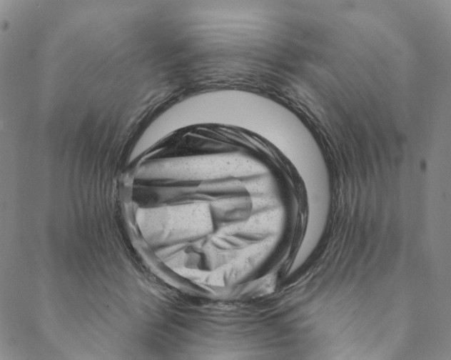 X0000088450412200706121444