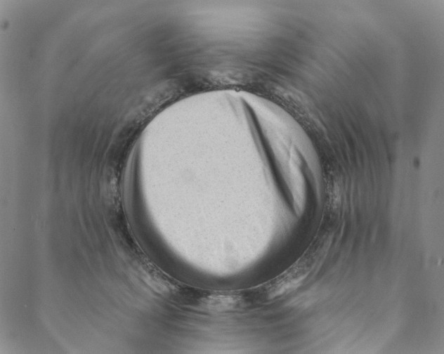 X0000088450418200706121444