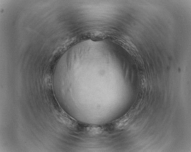X0000088450419200706121444