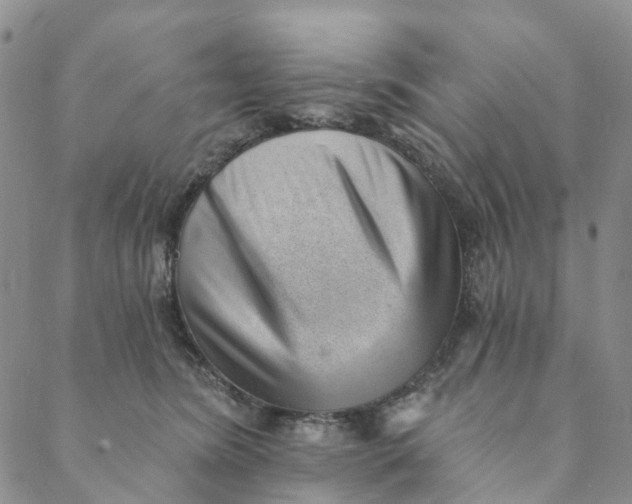 X0000088450420200706121444