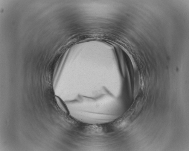 X0000088450421200706121444