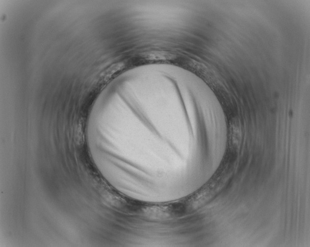 X0000088450422200706121444