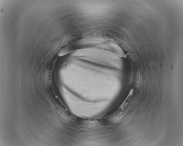 X0000088450428200706121444
