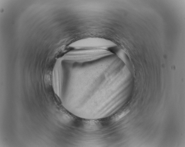 X0000088450432200706121443