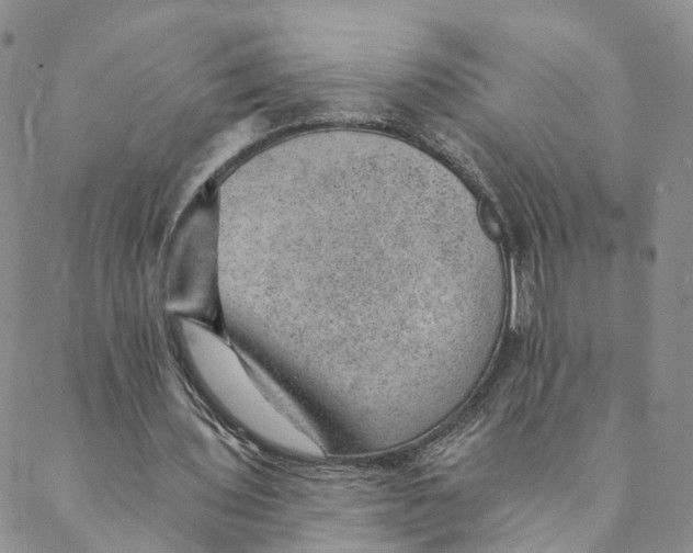 X0000088450435200706121443