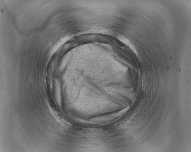 X0000088450436200706121443