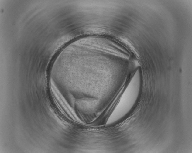 X0000088450439200706121443