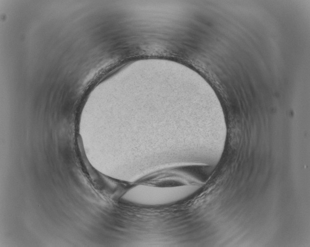 X0000088450442200706121443