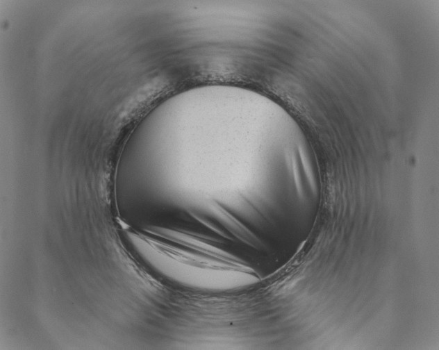 X0000088450450200706121443