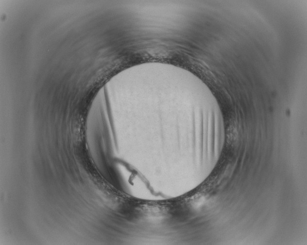 X0000088450464200706121443