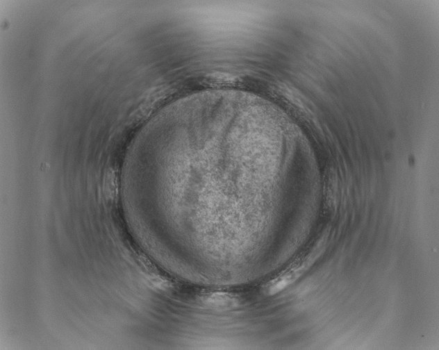 X0000088450467200706121443