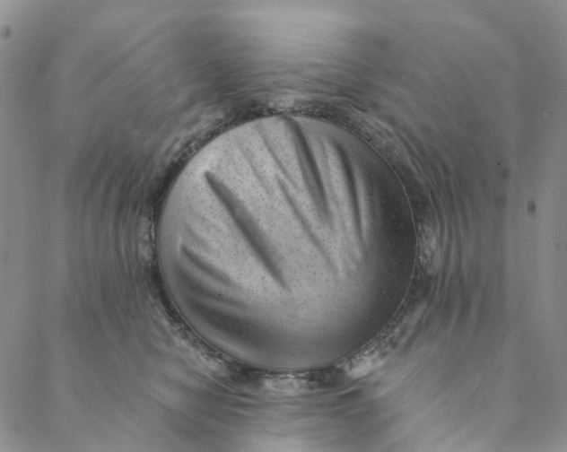 X0000088450470200706121443